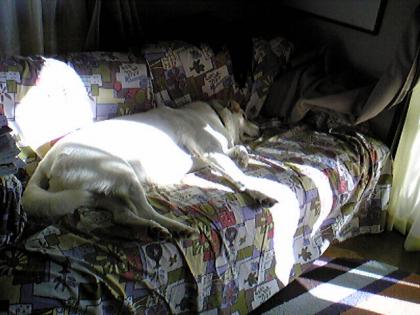 Image011.jpg