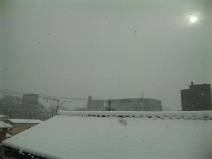 DVC00004.JPG