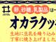 �p�b�P�[�W�f�U�C��